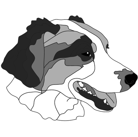 Mixed Breed #2