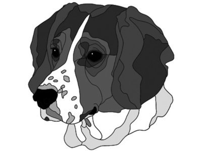 Beagle Head #2
