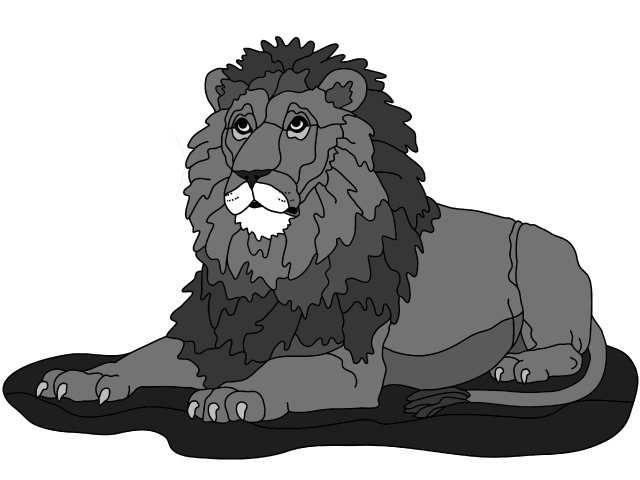 Lion lying