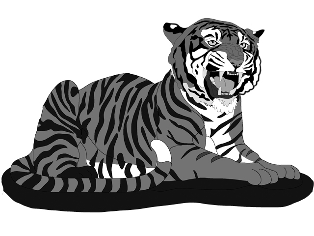 Tiger lying Roaring Oversized