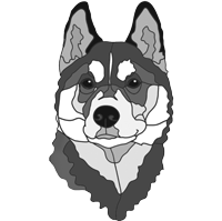 Siberian Husky Head #2