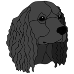 Water Spaniel