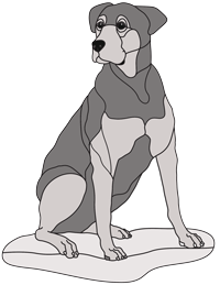 Mixed Breed #3