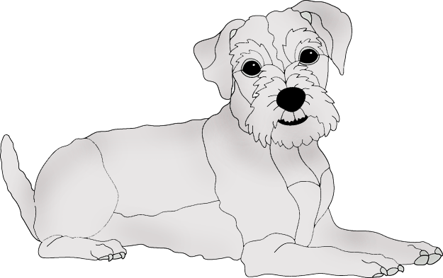 Mixed Breed #7