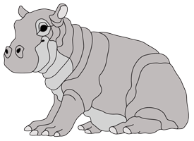 Hippo Baby