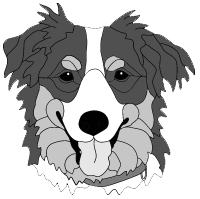 Australian Shepherd Head (New Revised)