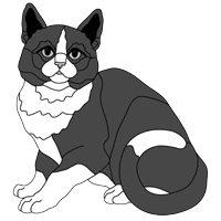 Black &amp; White Cat Sitting (new revised)