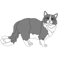 Longhair Cat Standing (new revised)