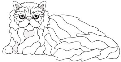 Persian Cat Lying (New Revised)