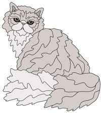 Persian Cat Sitting (New Revised)