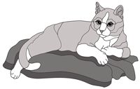 Cat on Blanket (new revised)
