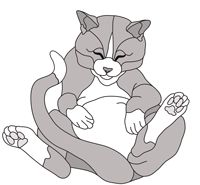 Lazy Cat Sleeping (New Revised)