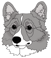 Corgi Head #2