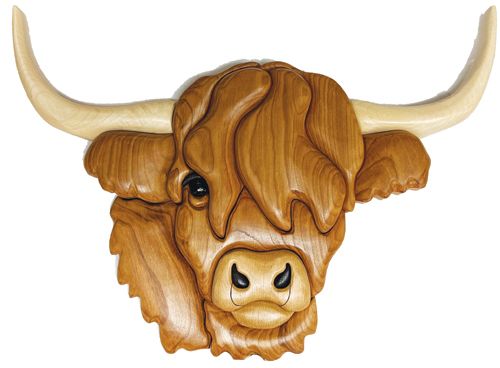 Simple Scottish Highland cow head