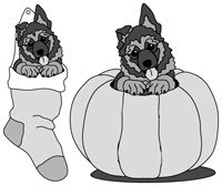Stocking and Pumpkin Pups German Shepherd