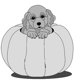 Stocking and Pumpkin Pups Golden Retriever