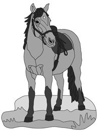 Saddle Horse Standing