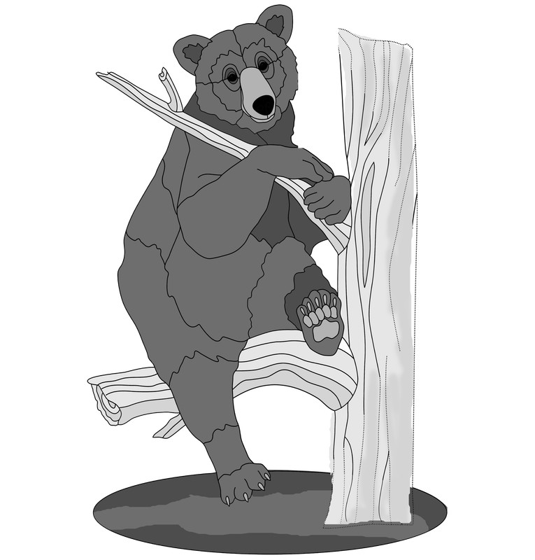 Bear in Tree