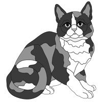 Calico Cat Sitting (new revised)