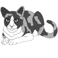 Calico Cat Lying (new revised)