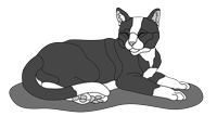 Black &amp; White Cat Lying  (New Revised)