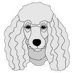 Poodle Head (new version)