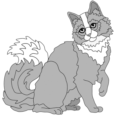 Longhaired Cat Sitting ( new revised)