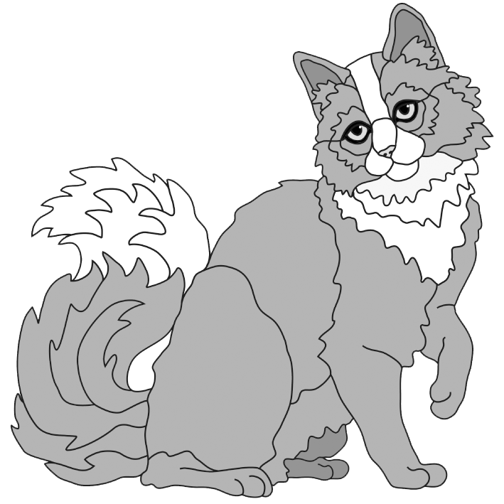 Longhaired Cat Sitting ( new revised)