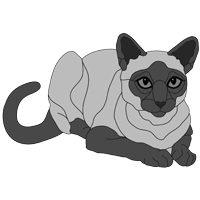 Siamese Cat Lying (new revised)