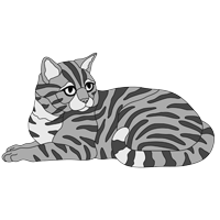 Tabby Cat Lying (new revised)