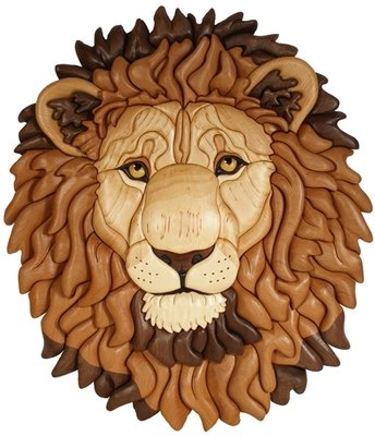 African Animals