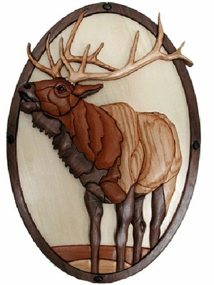 North American Wildlife