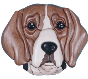 Beagle Head #3