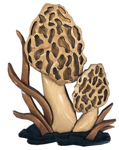 Morel Mushrooms