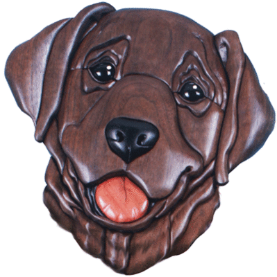 Labrador Retriever Head #2