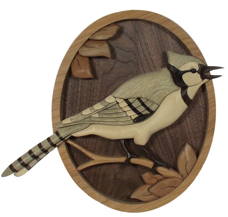 Blue Jay