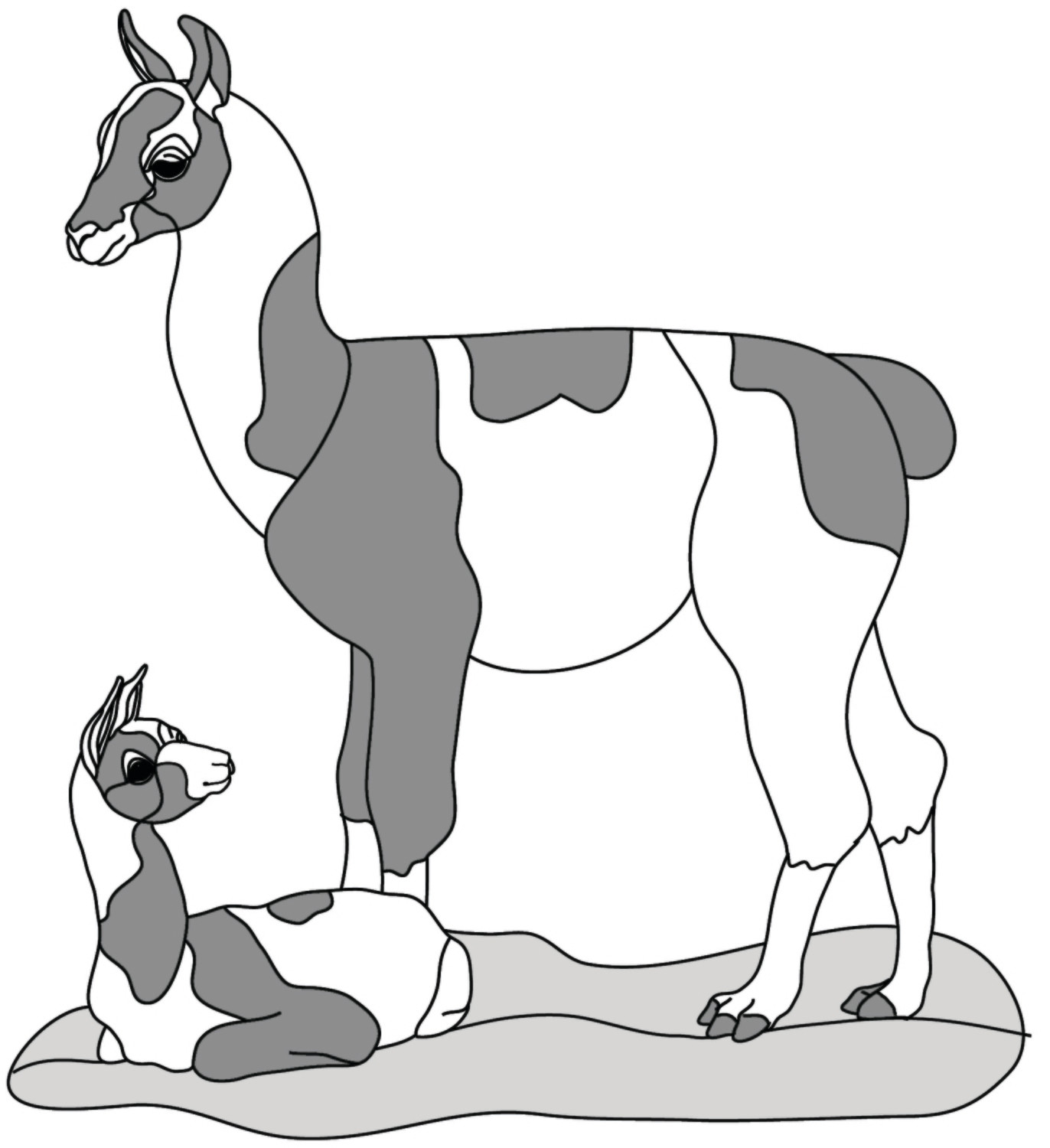 Llama &amp; Baby