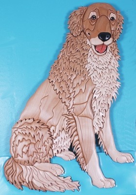 Golden Retriever Sitting Life-size  Expert