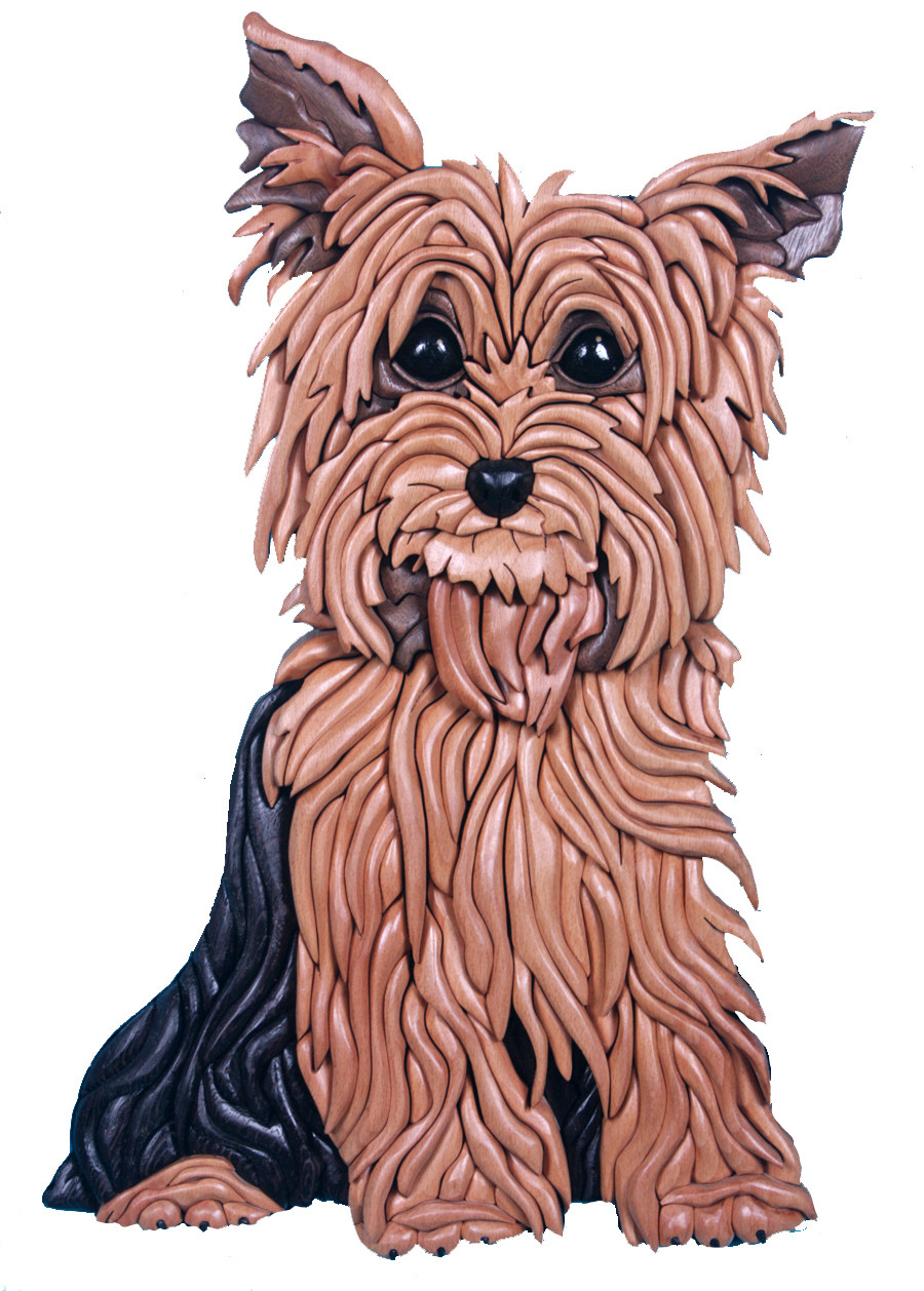 Yorkshire Terrier Sitting Lifesize Expert Pattern