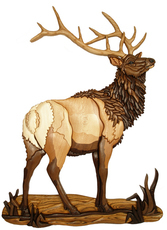 Animals