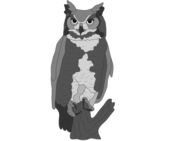 Great Horned Owl PDF Download