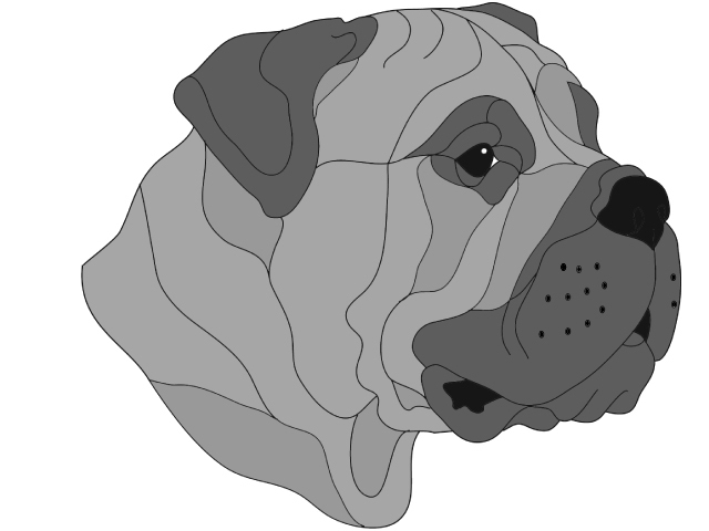 Bullmastiff Head PDF Download