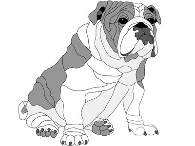 Bulldog Sitting PDF  Download