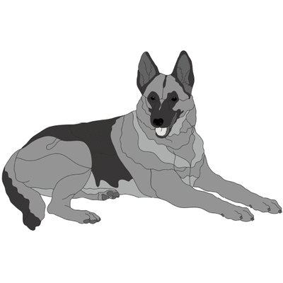 German Shepherd Laying PDF Download