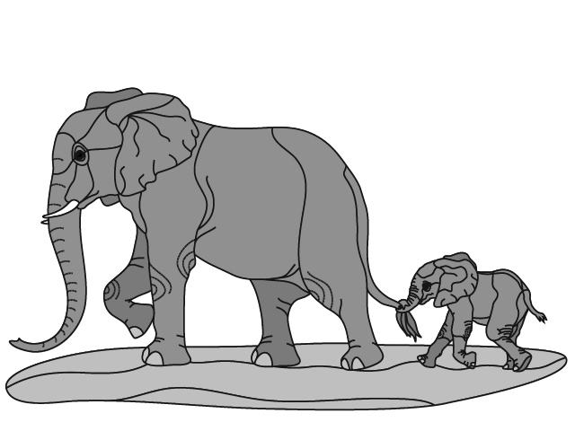 Elephant &amp; Baby PDF Download