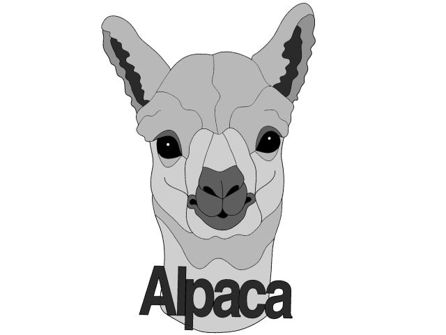 Alpaca Head PDF Download