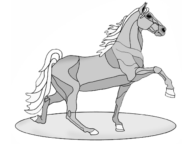 Tennessee Walker Horse PDF Download