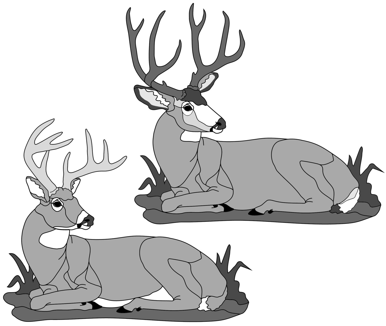 Lying Deer (mule or whitetail) PDF Download