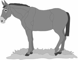 Standing Mule PDF PDF Download