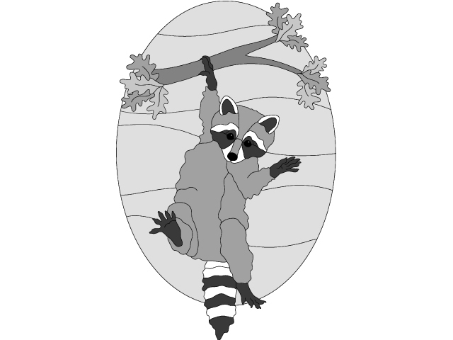 Raccoon Hangin' on PDF Download